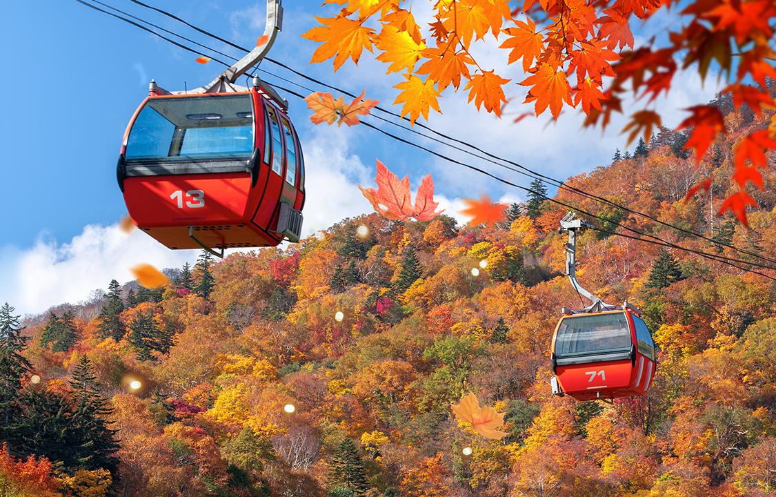 2025 Fall Foliage in Korea