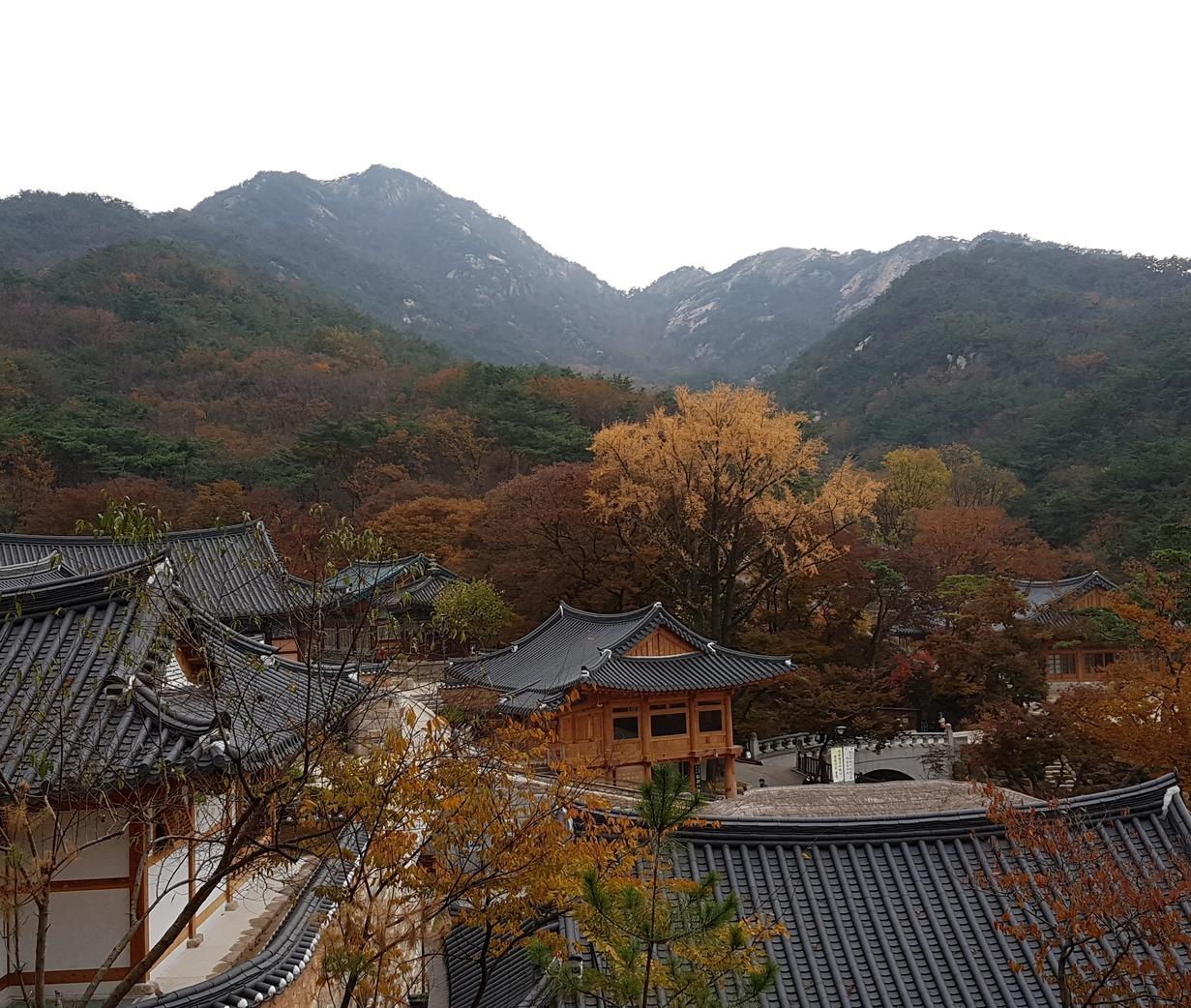 2026 ソウル・ウェルネス観光100選：15. 津寛寺 (Jingwansa Temple)