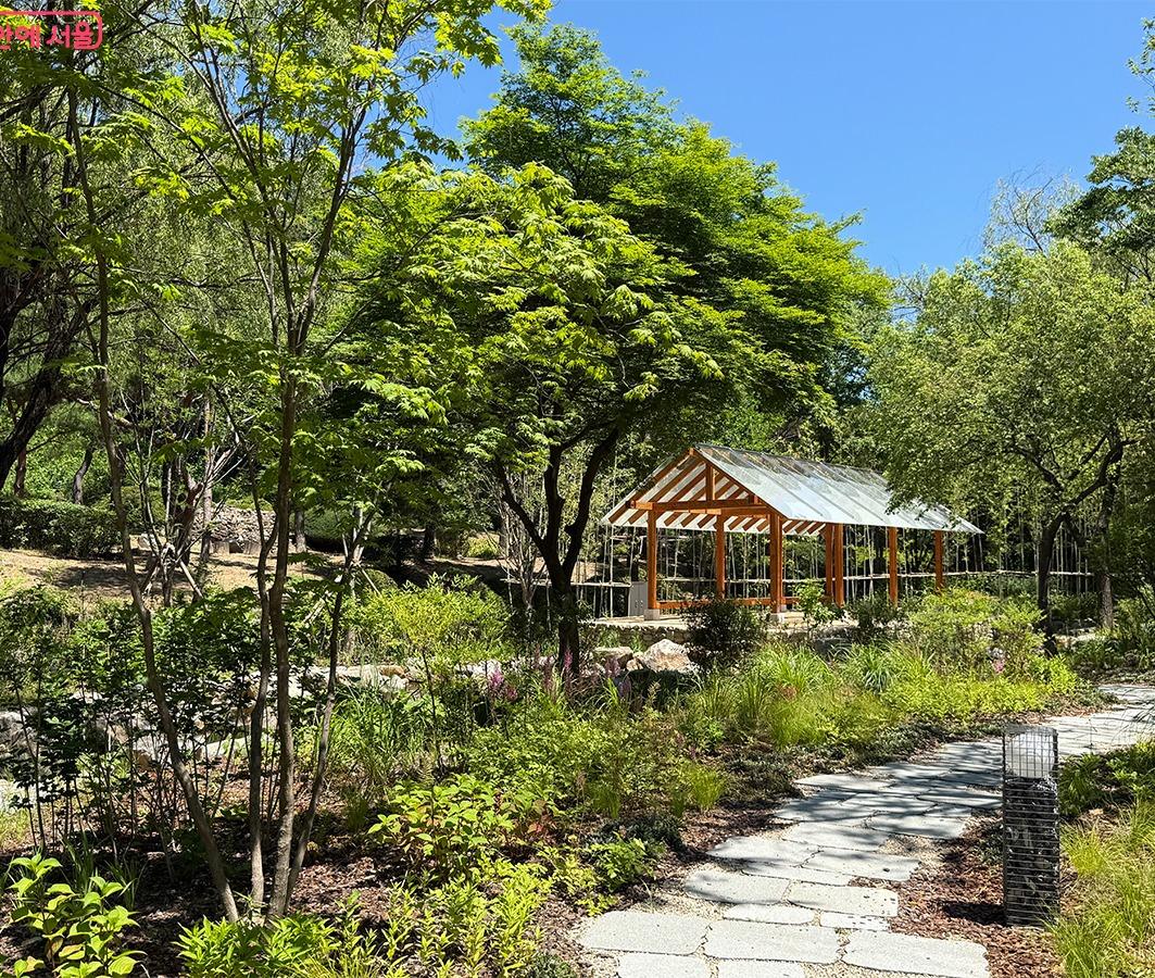 2026 ソウル・ウェルネス観光100選：17. 南山韓国森庭園 (Namsan Korean Forest Garden)