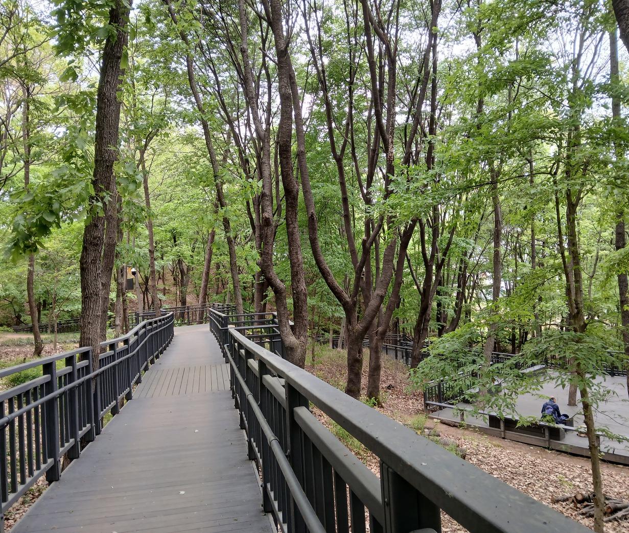 2026 ソウル・ウェルネス観光100選：25. 水落山バリアフリー森林道 (Suraksan Barrier-Free Forest Trail)