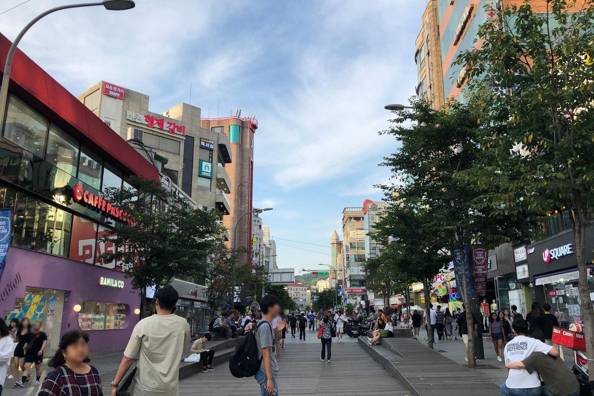 서강대학교
