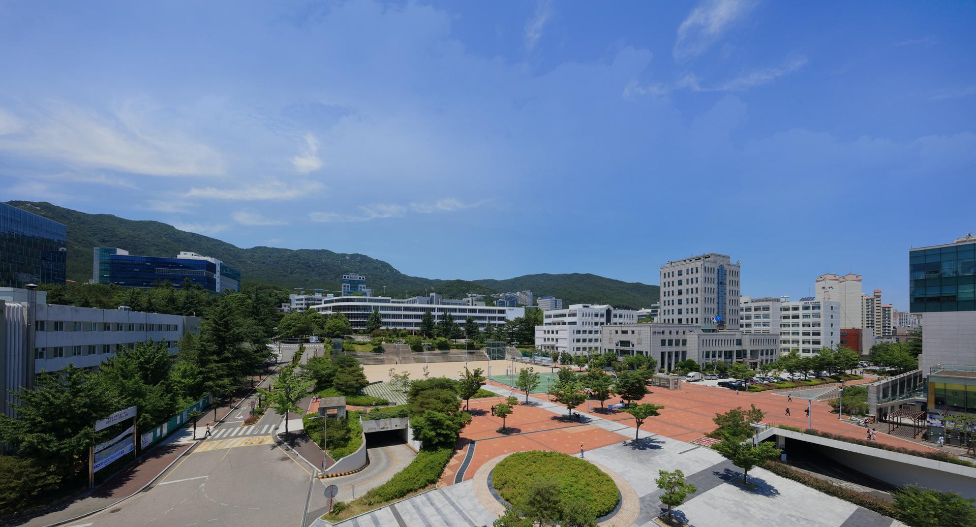 Chương trình chính thức của Đại học Busan