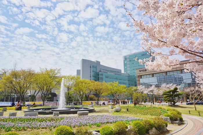 崇實大學正規課程-image