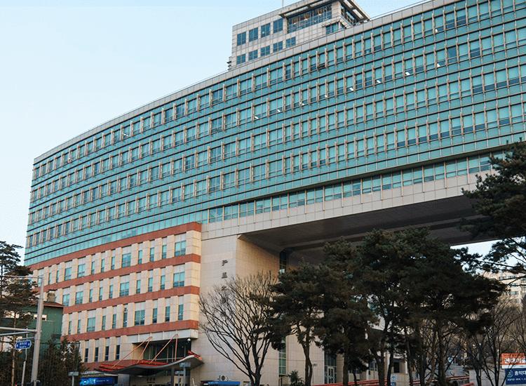 홍익대학교