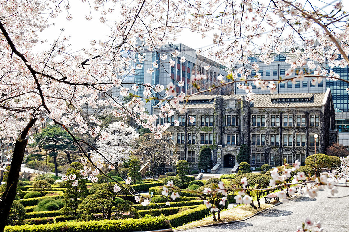 Йонсей университет корея. Юнсей университет Сеул. Университет Ewha в Корее. Университет Ихва в Сеуле. Кампус университета эхнва в Корее.