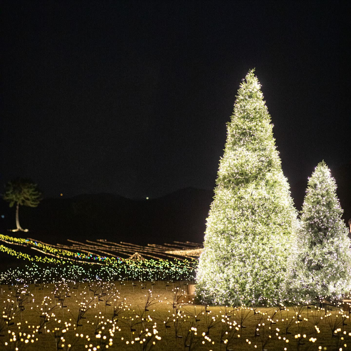 occasion-summary-card-image