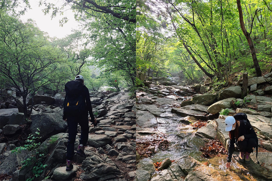 徒步旅行者在青翠的林地中攀爬和探索，背景是綠色森林小道