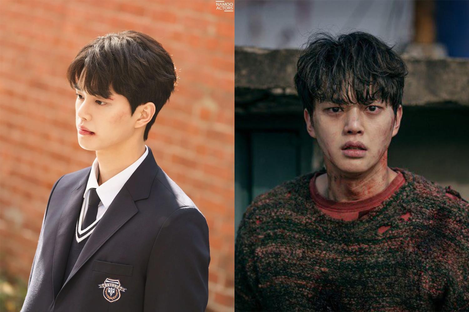 Tất tần tật về Song Kang - diễn viên được mệnh danh là con trai của Netflix Hàn Quốc