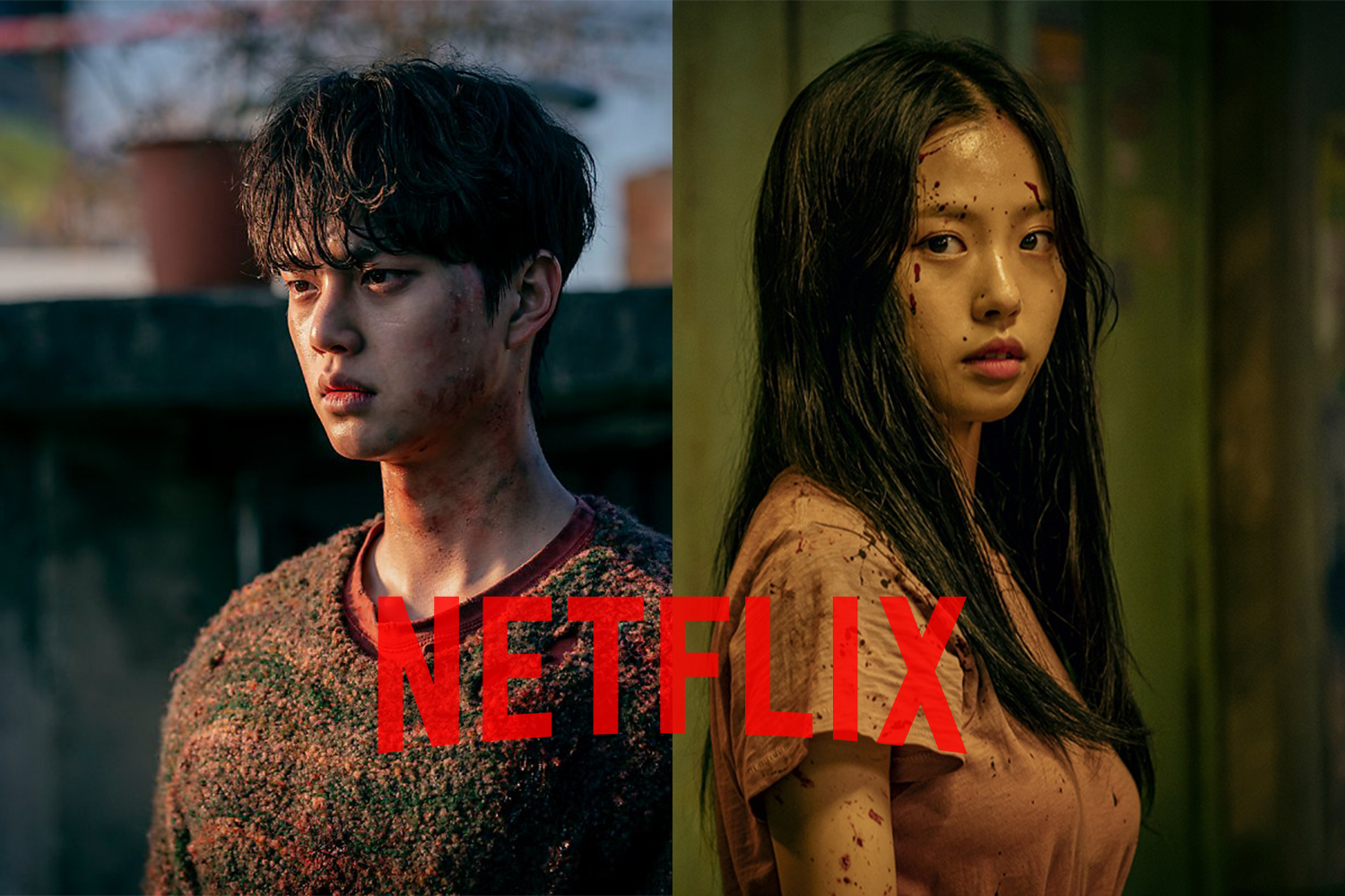 Creatrip Introducing Netflix Korea S Son Daughter Song Kang Go Min Si