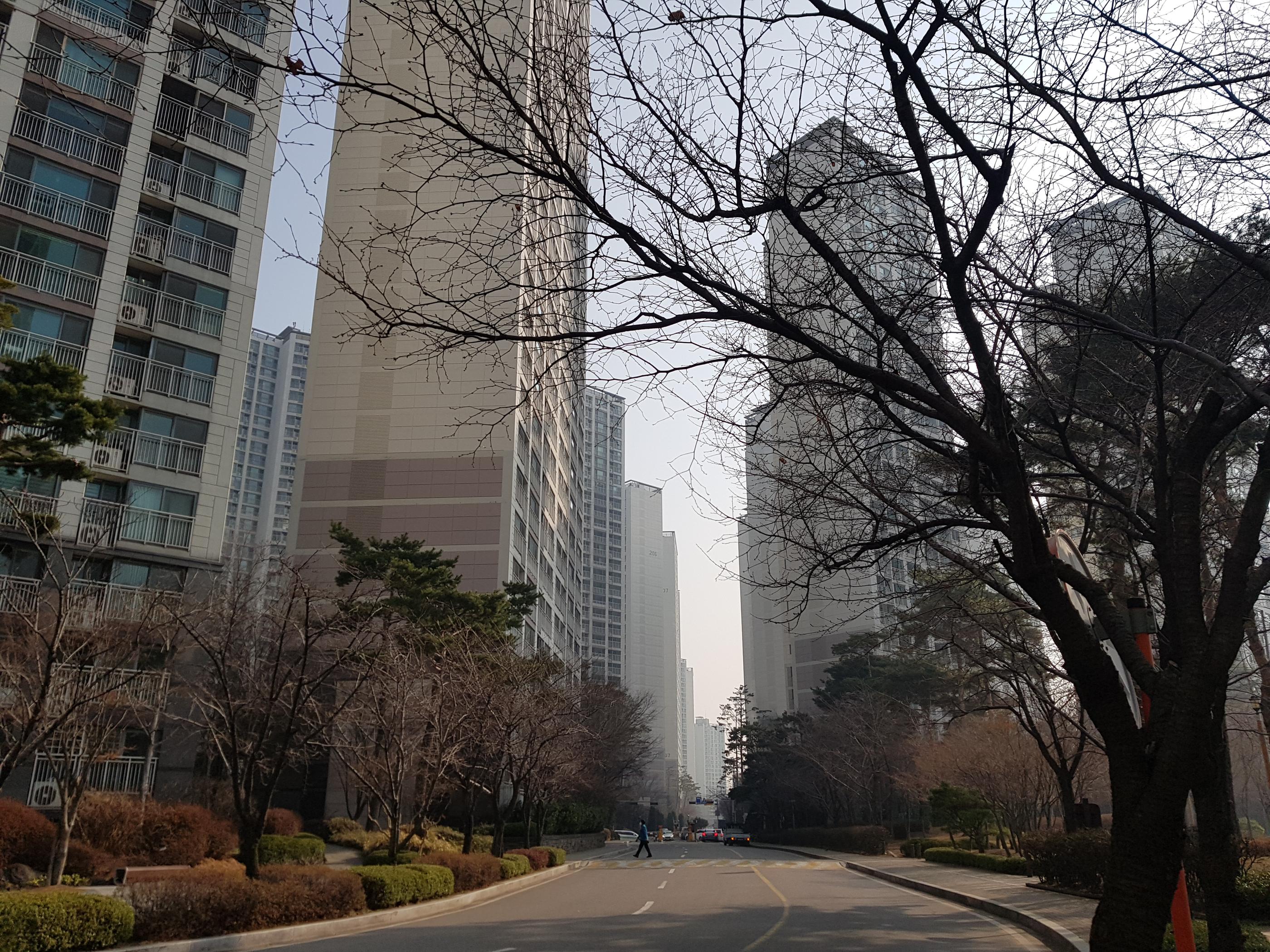 韓国文化、韓国人、韓国の薬局、ドラックストア、オリーブヤング、韓国女子、韓国コスメ、韓国のドラックストア、韓国のアパート、韓国の住まい、韓国住居