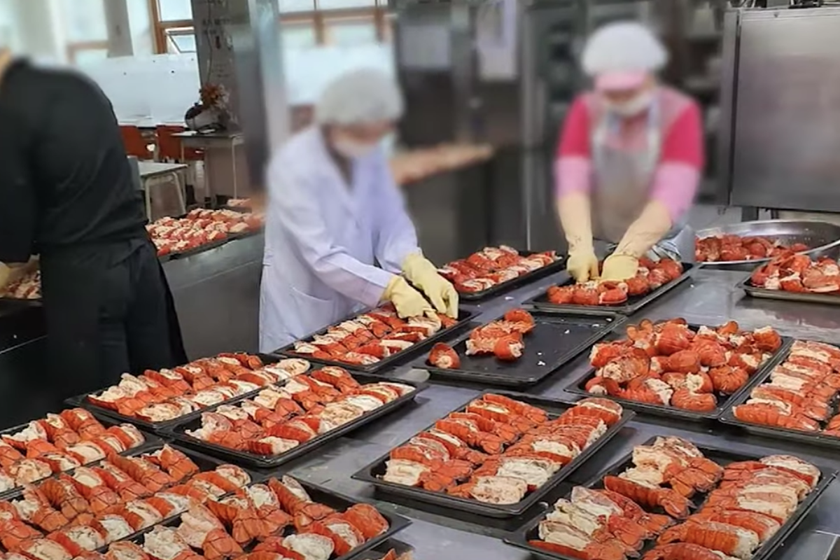 韓國學校群體集體就餐的情景，展示學生們在校園中用餐的畫面。