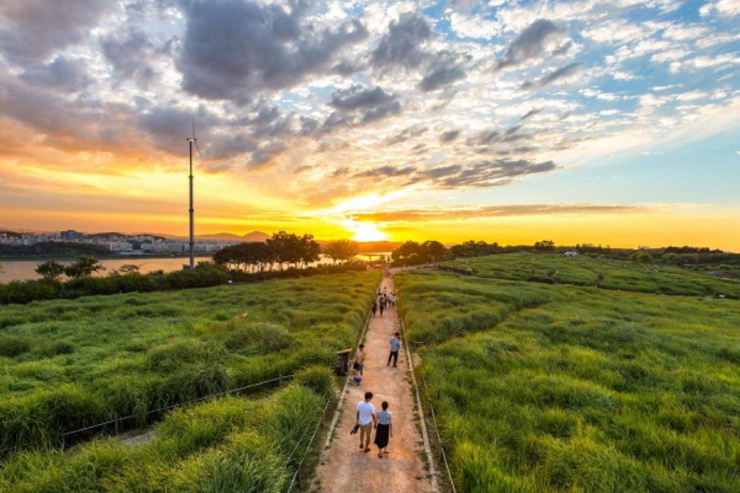 ฮานึลปาร์ค(하늘공원)