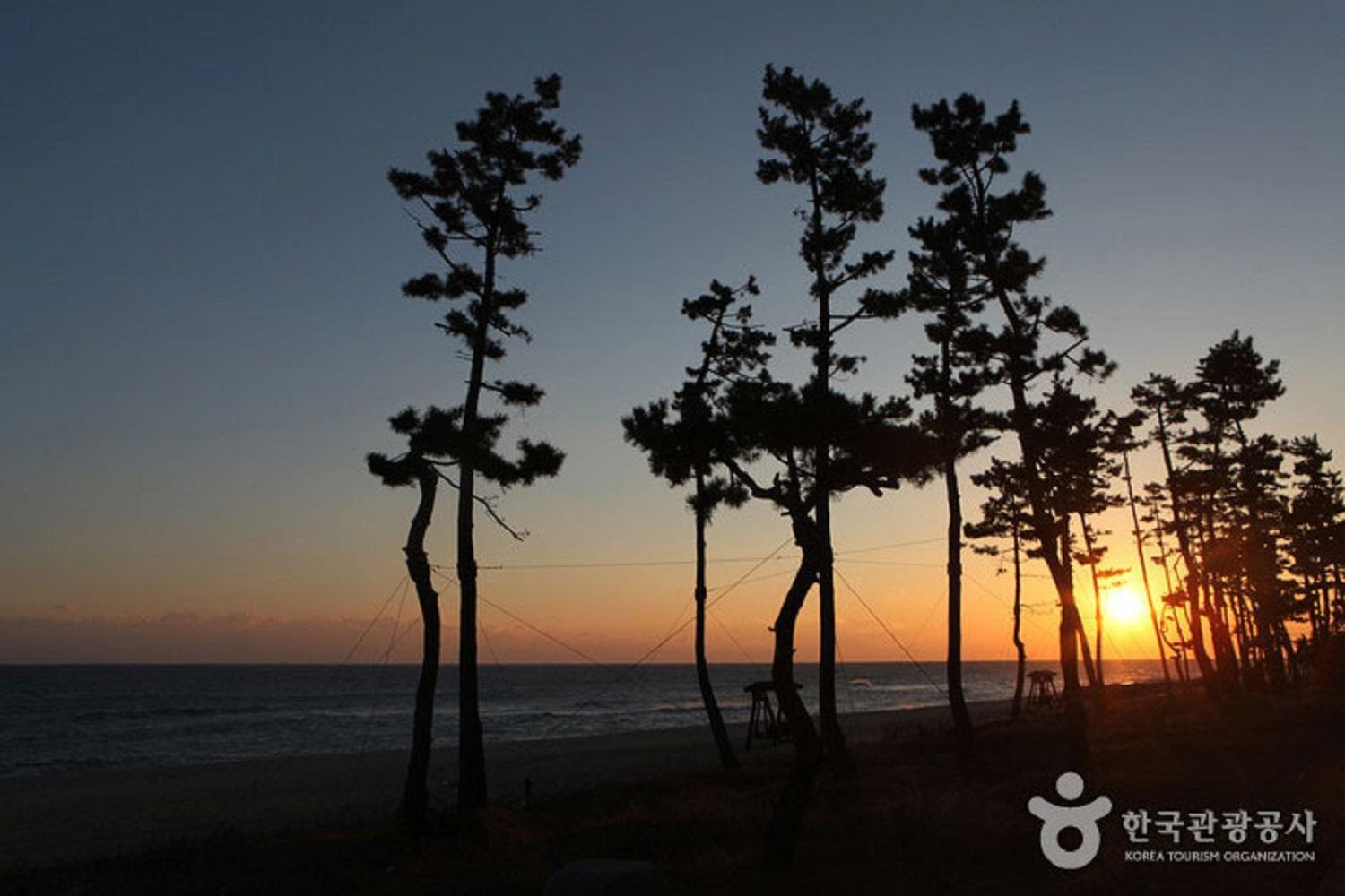หาดคยองโพ(경포대해수욕장)