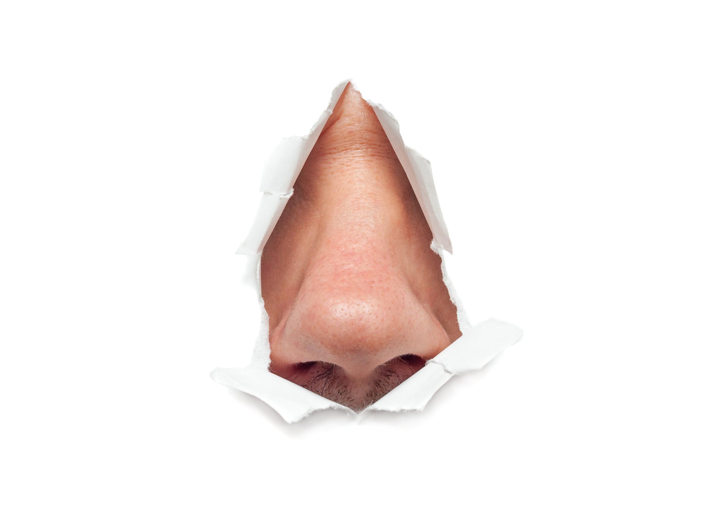 Грустный нос. Картинка носа человека.