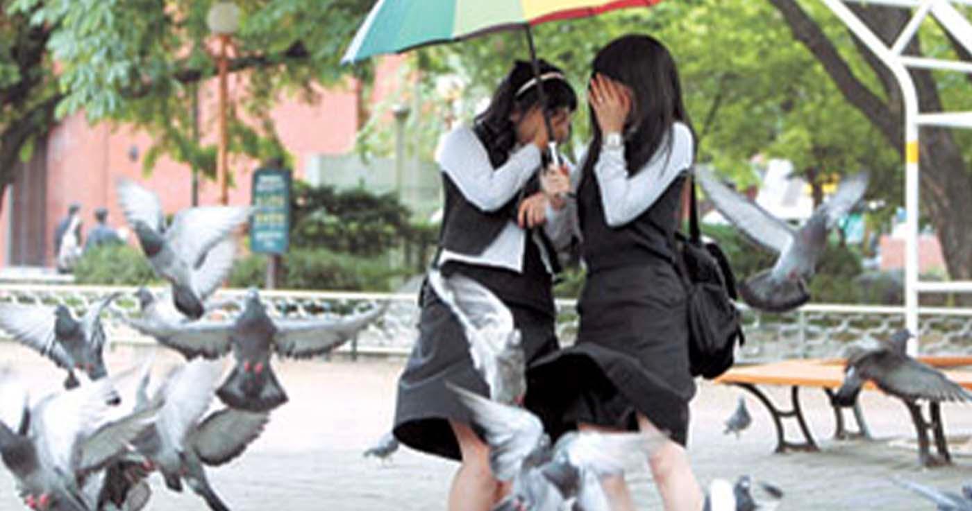 ทำไมเกาหลีถึงมีนกพิราบเยอะ?