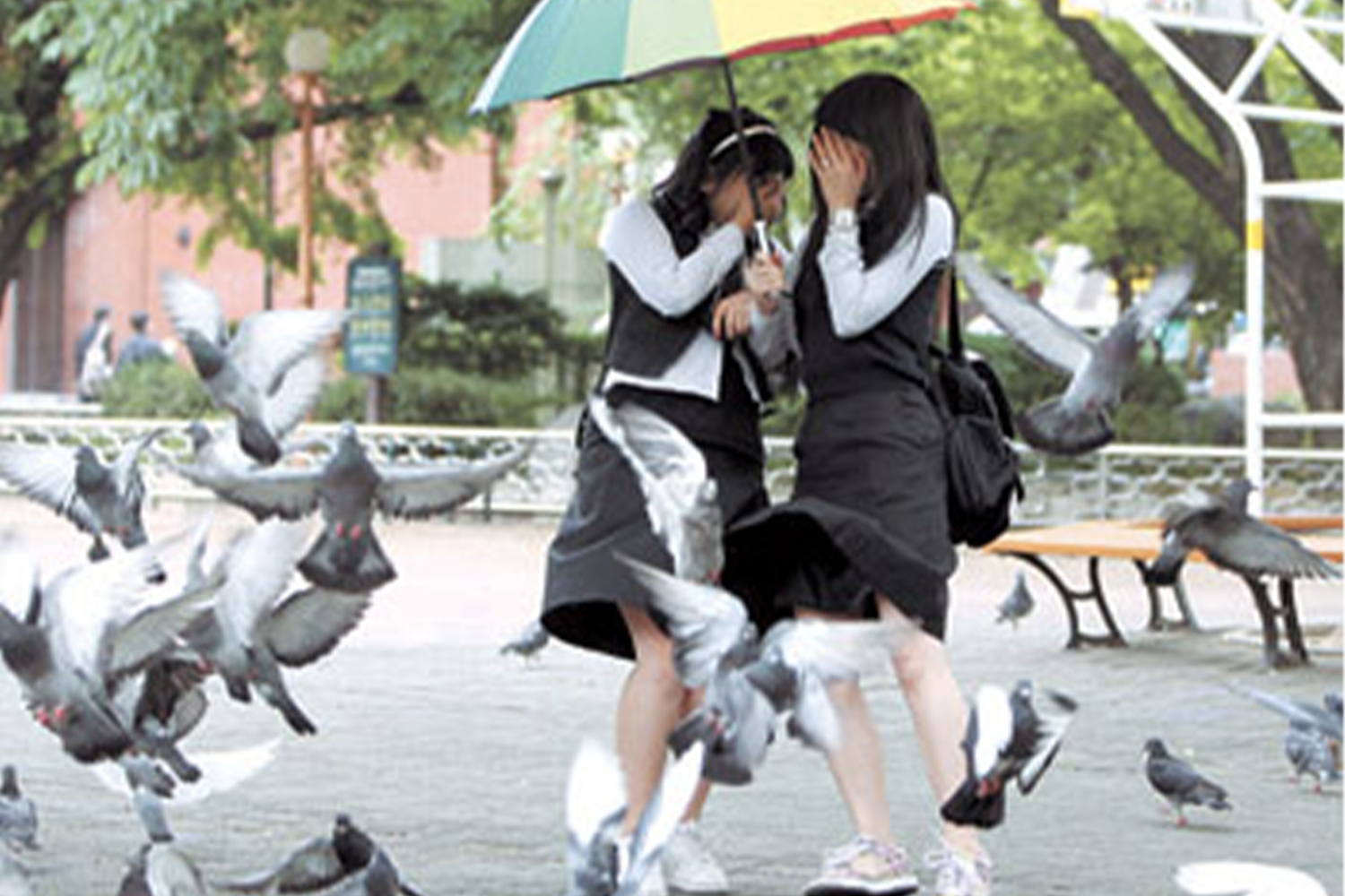 在城市的公園裡，許多鴿子正展翅飛翔，引起行人驚慌閃避。