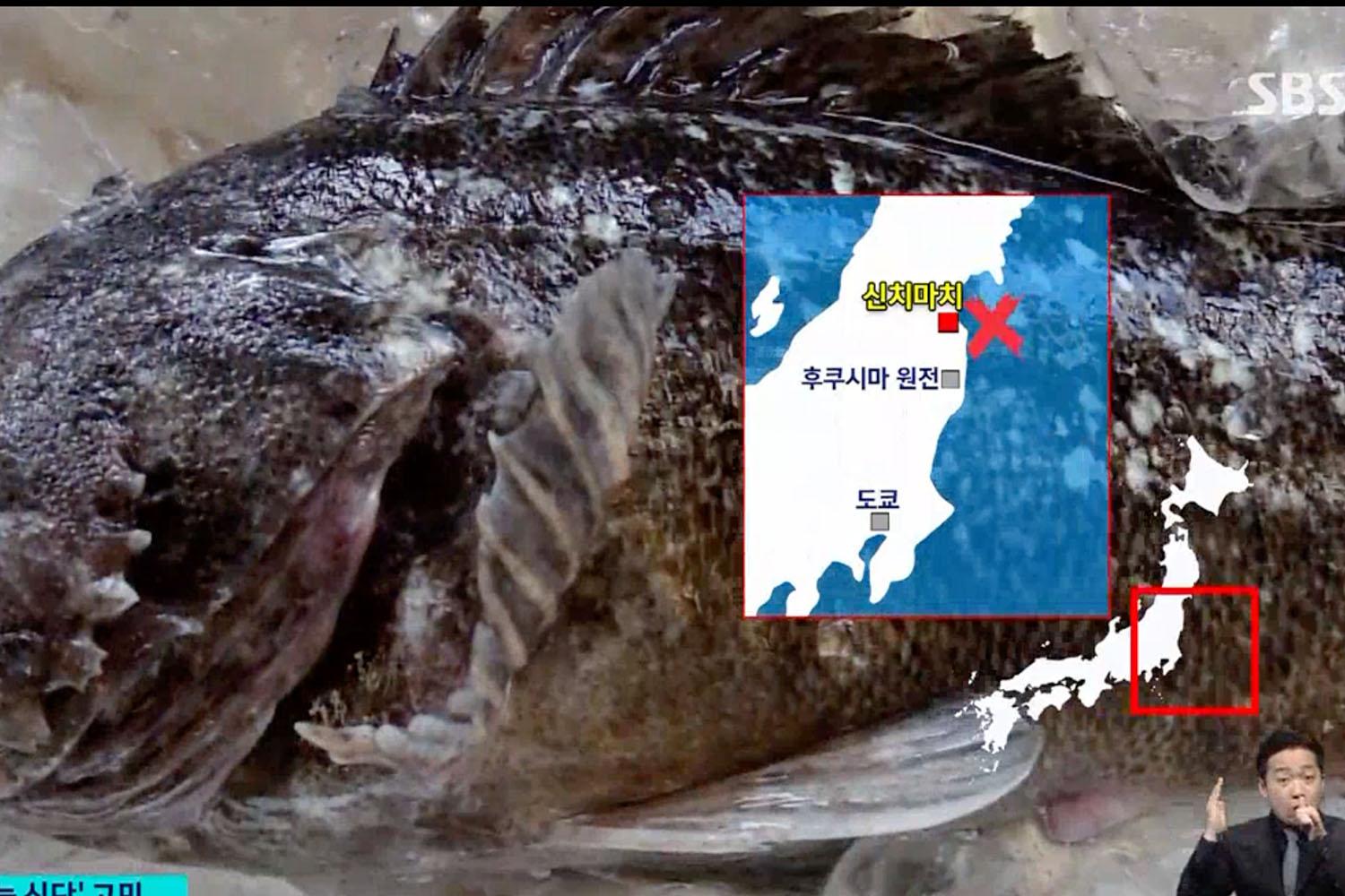 สำหรับอาหารของนักกีฬาทั้งหมดจะถูกจัดเตรียมโดยคณะกรรมการองค์กรโตเกียวและจะมีผลิตภัณฑ์จากจังหวัดฟุกุชิมะรวมอยู่ด้วย