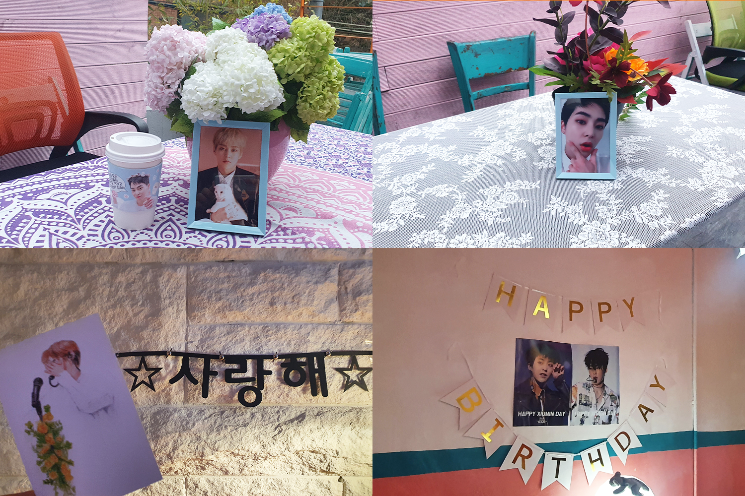 XIUMIN의 다양한 폴라로이드 사진들이 선반에 장식된 모습. 선반 주변에 장식된 다양한 식물들과 인형들.