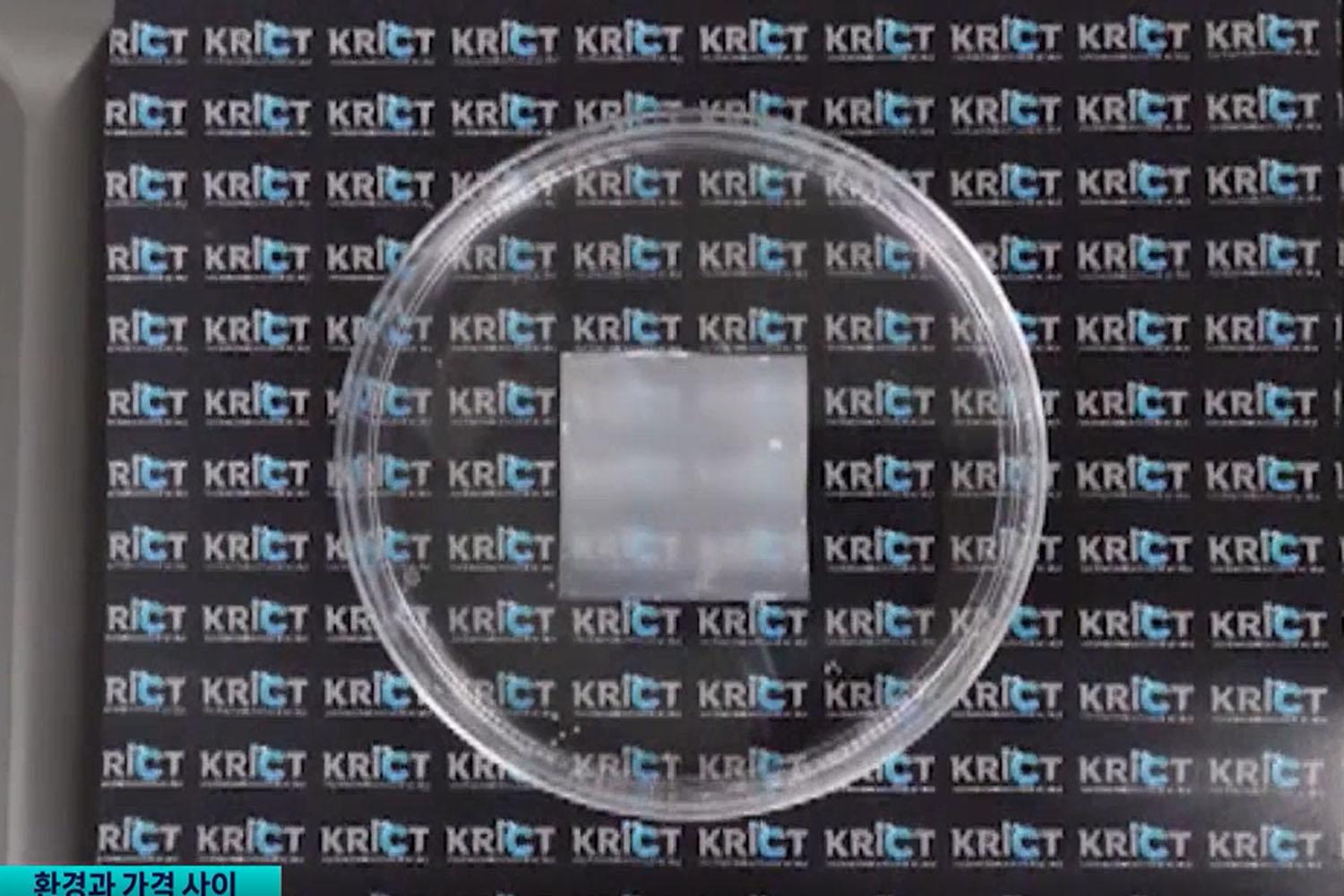 คิดค้นหน้ากากอนามัยที่สามารถทดแทนหน้ากากที่ทำจากพลาสติก