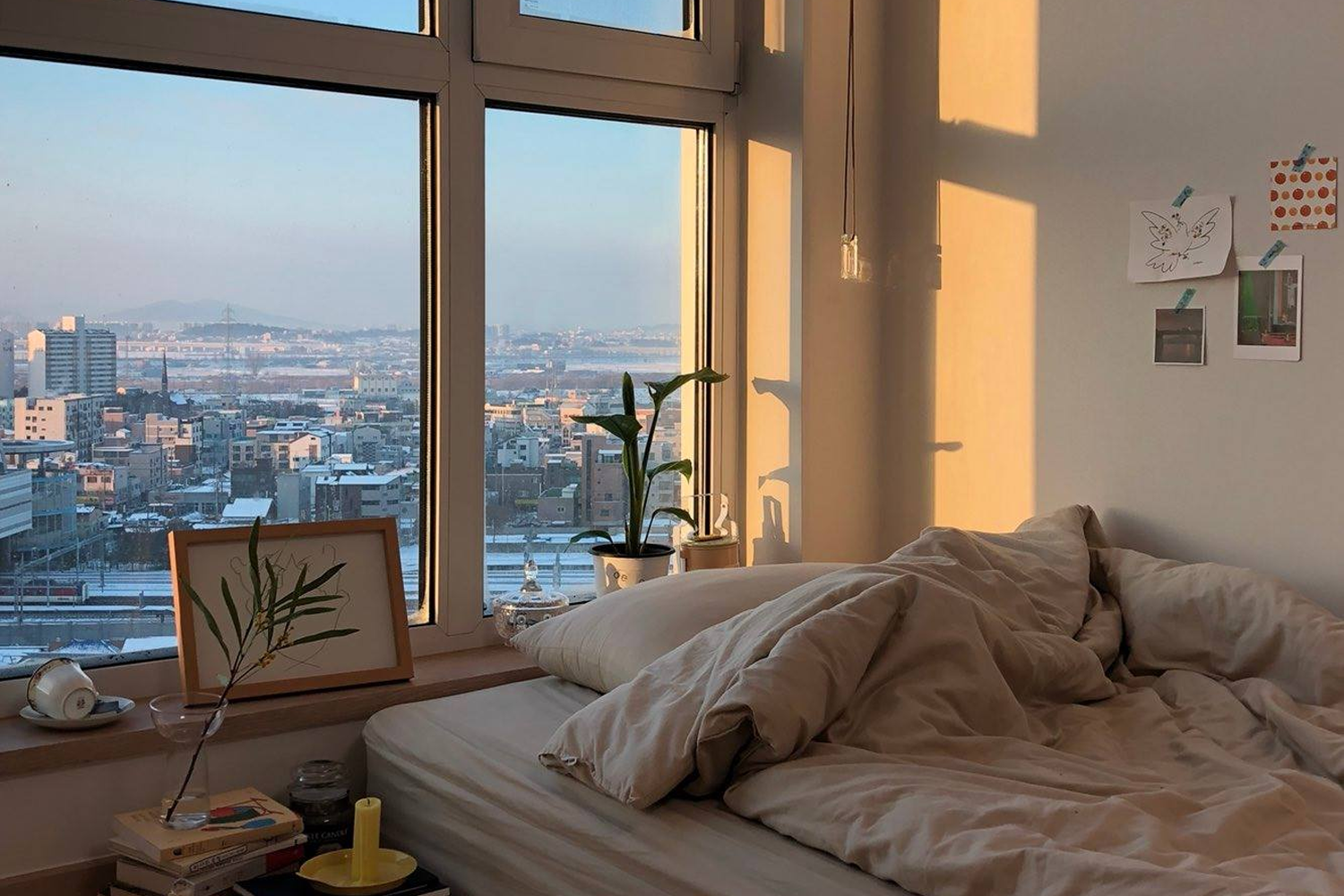 bed with a large window