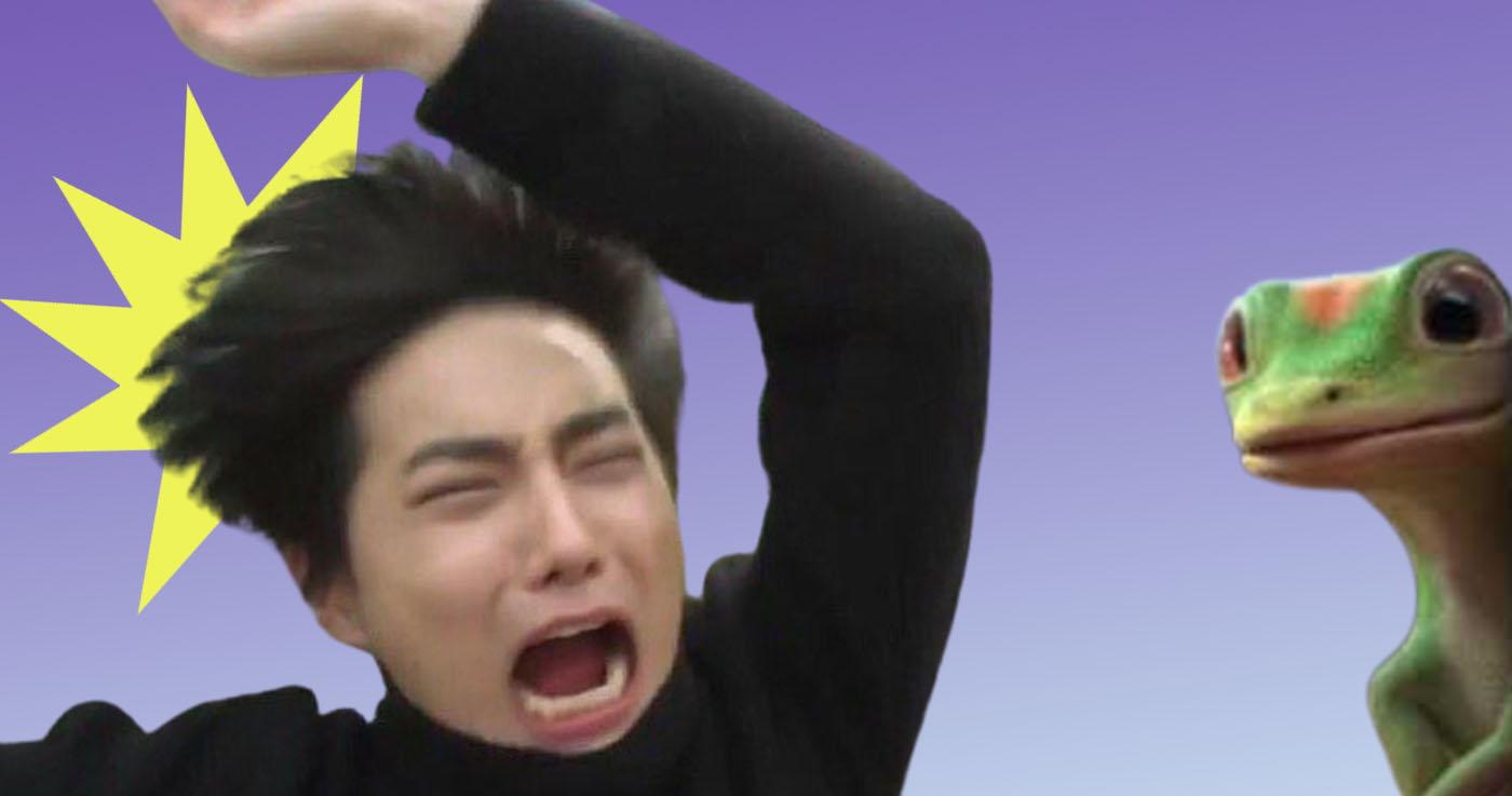 จริงหรือไม่? ที่เกาหลีไม่มีจิ้งจก/ตุ๊กแก