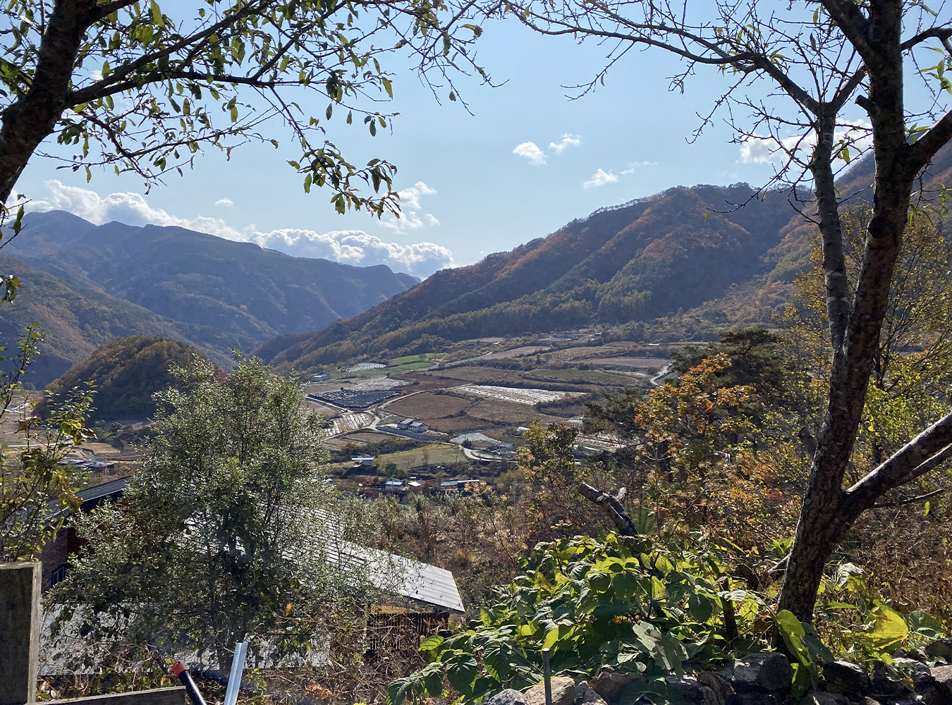 Khung cảnh núi non nhìn từ quán Holly Garden, điểm đến lý tưởng để thưởng thức cà phê và thiên nhiên.