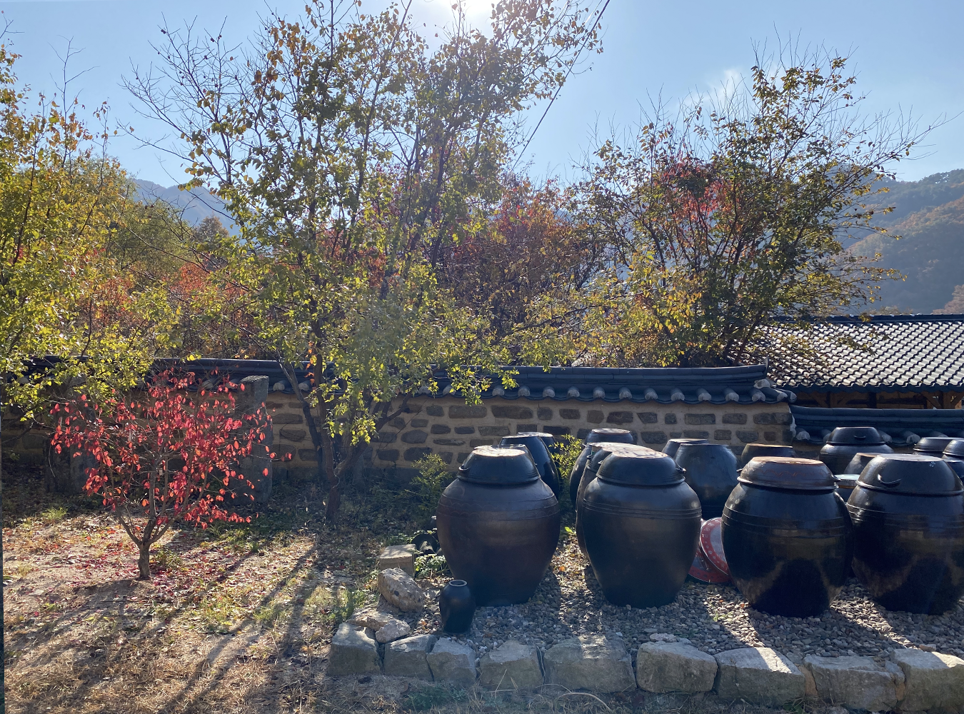 Jangdokdae at Nongam Jongtaek, Andong