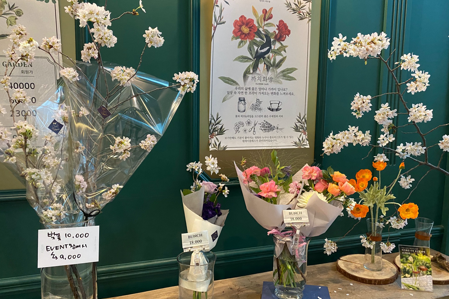 cachi flower cafe flowers on shelf infront of green wall