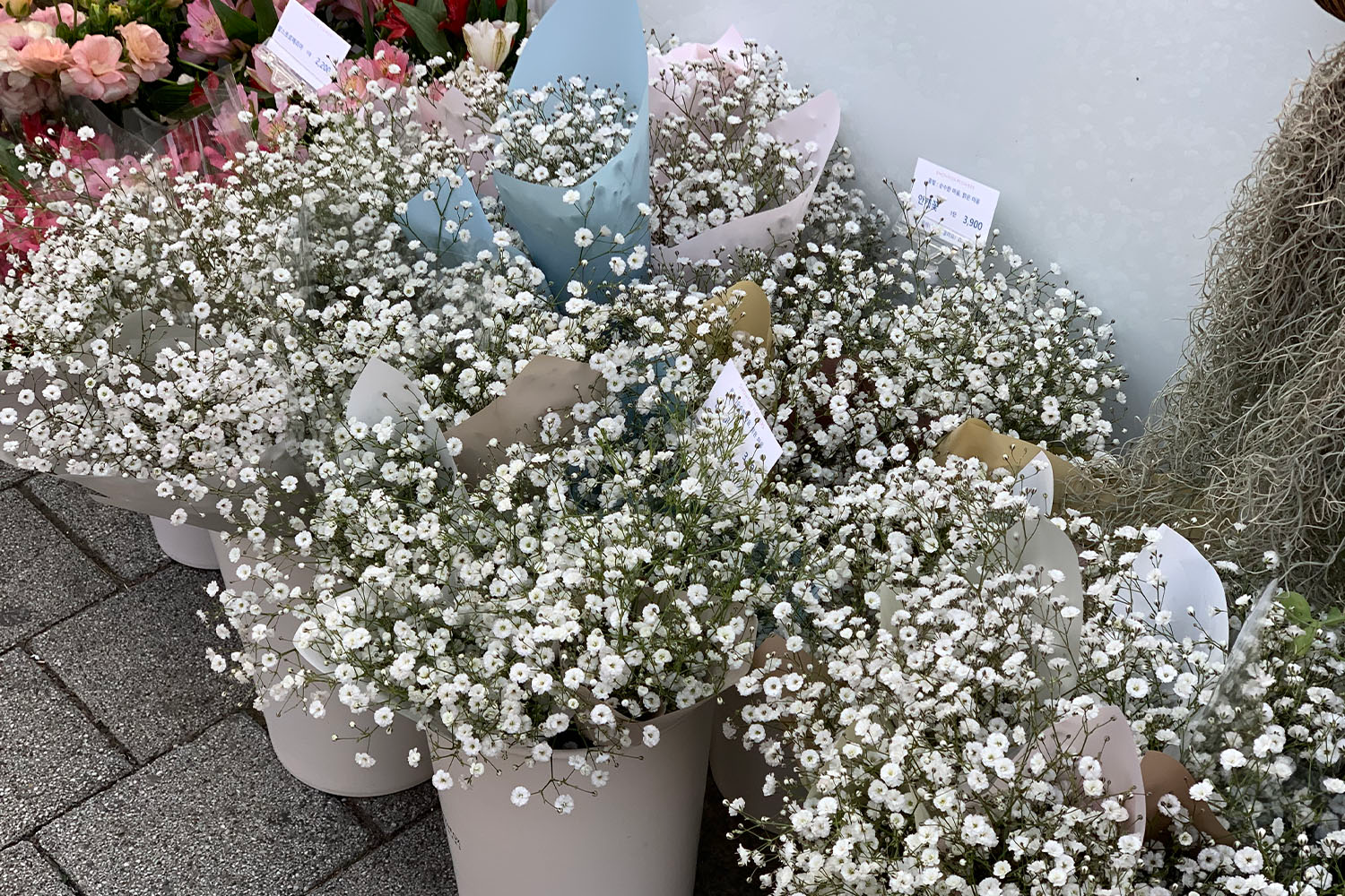 お花屋さん フラワーカフェ ソウル 鐘閣 忠武路 花 カフェ 韓国カフェ 韓国 韓国情報 韓国旅行 旅行 フラワーショップ、花屋さん、梨泰院、イテウォン駅、ノクサピョン駅、フラワー、韓国お花屋さん、プレゼント、韓国旅行、卒業式、インテリア、シンチョン、新村駅、ホンデ、ホンデ入口駅