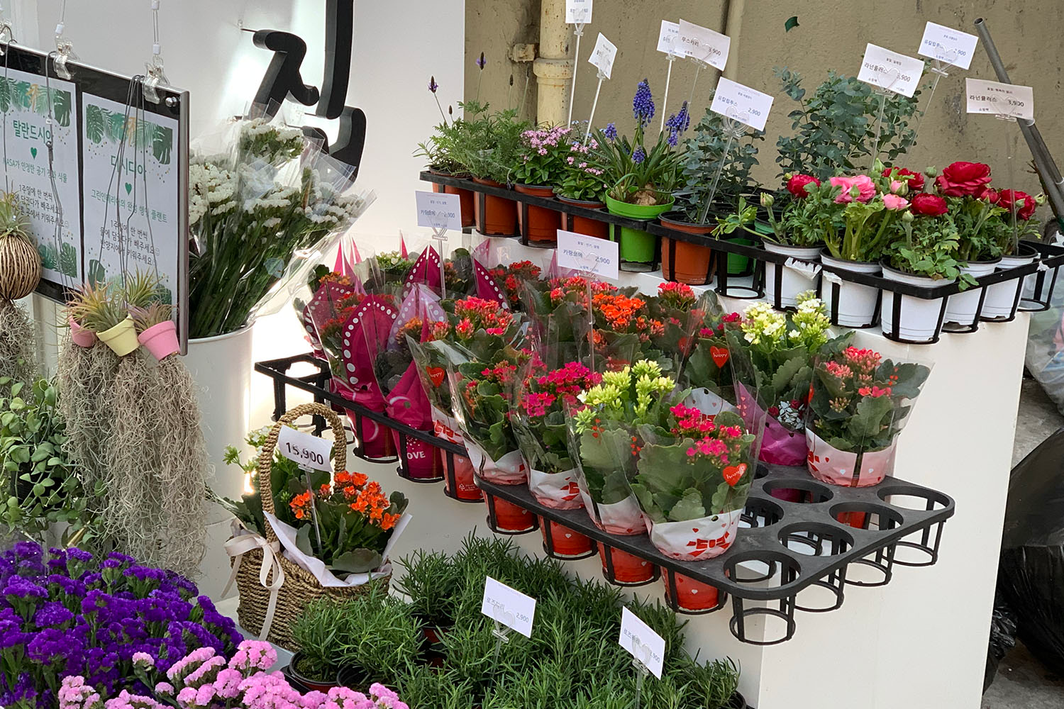 お花屋さん フラワーカフェ ソウル 鐘閣 忠武路 花 カフェ 韓国カフェ 韓国 韓国情報 韓国旅行 旅行 フラワーショップ、花屋さん、梨泰院、イテウォン駅、ノクサピョン駅、フラワー、韓国お花屋さん、プレゼント、韓国旅行、卒業式、インテリア、シンチョン、新村駅、ホンデ、ホンデ入口駅