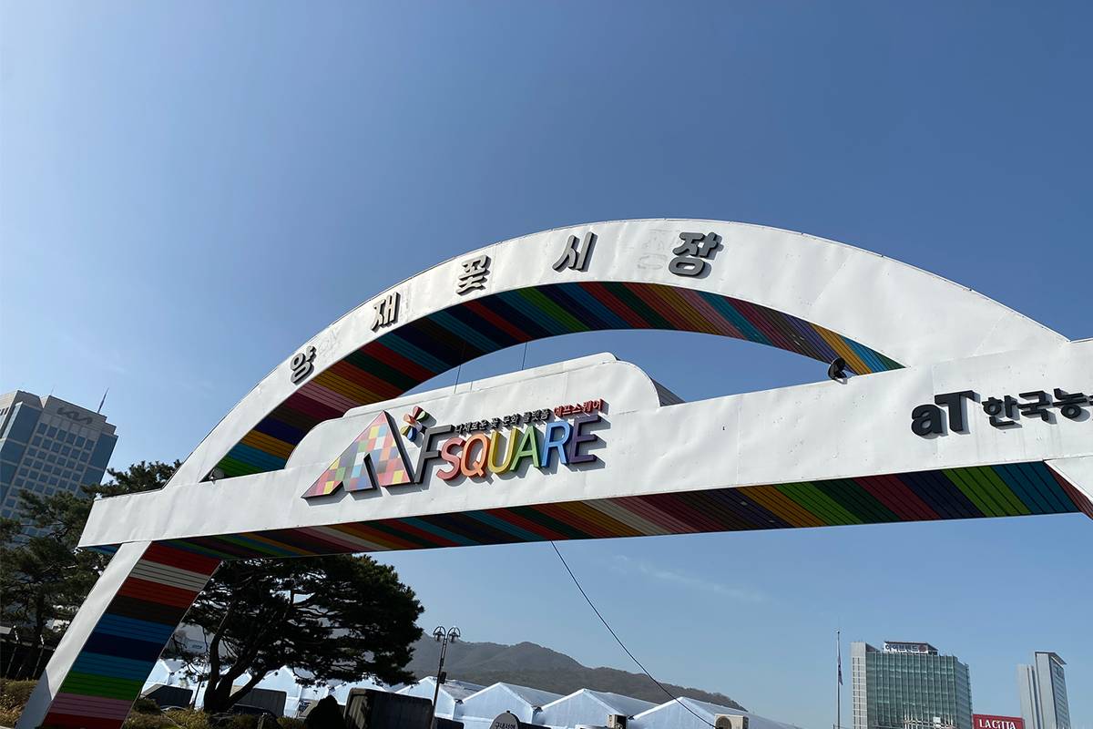 首爾 花店 花束