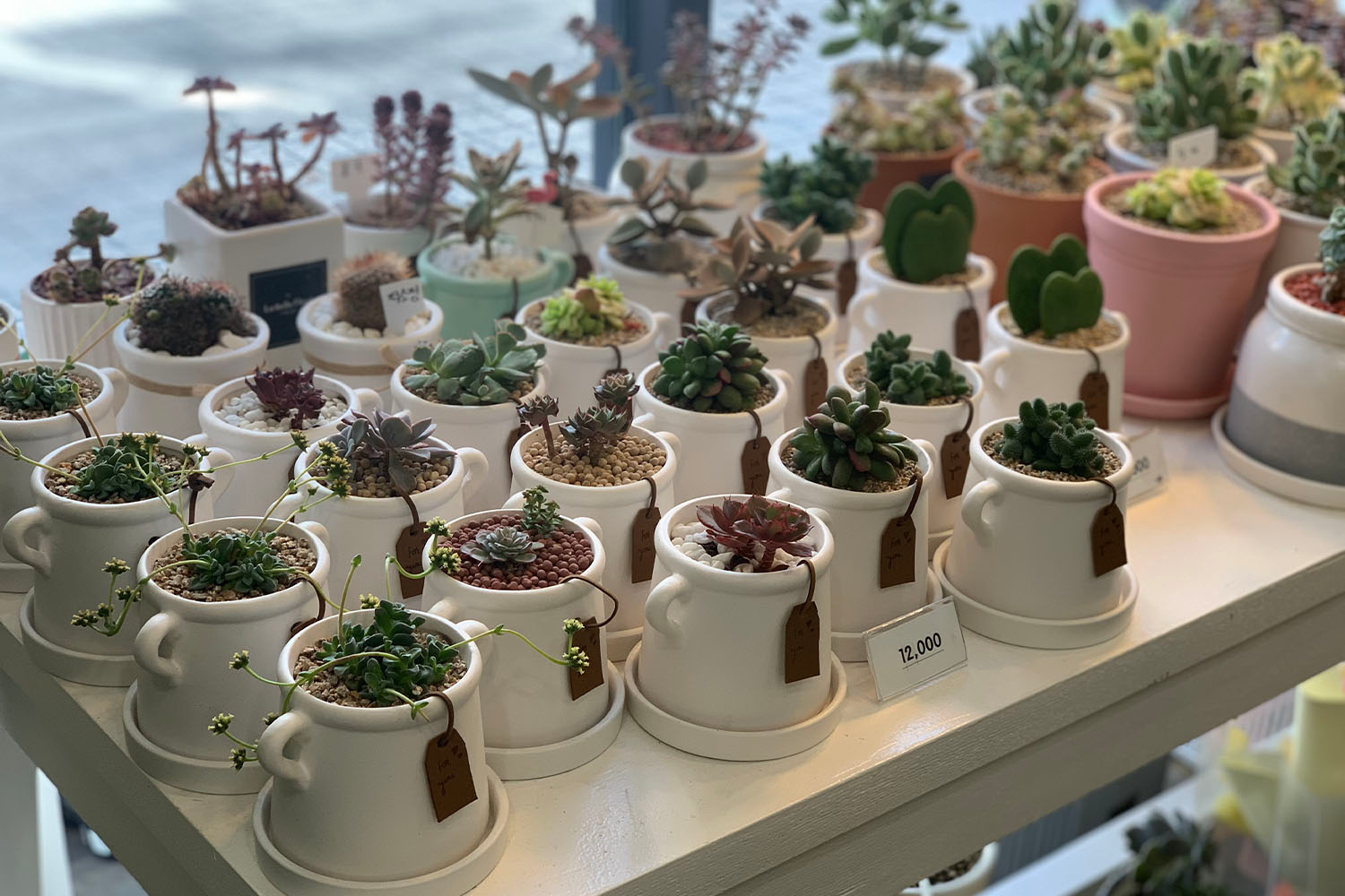 お花屋さん フラワーカフェ ソウル 鐘閣 忠武路 花 カフェ 韓国カフェ 韓国 韓国情報 韓国旅行 旅行 フラワーショップ、花屋さん、梨泰院、イテウォン駅、ノクサピョン駅、フラワー、韓国お花屋さん、プレゼント、韓国旅行、卒業式、インテリア、シンチョン、新村駅、ホンデ、ホンデ入口駅