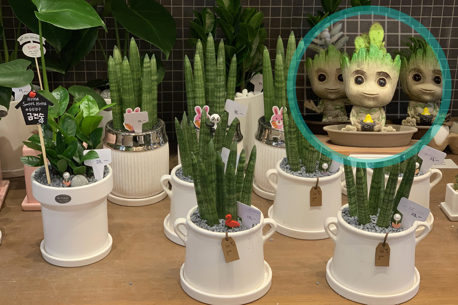 お花屋さん フラワーカフェ ソウル 鐘閣 忠武路 花 カフェ 韓国カフェ 韓国 韓国情報 韓国旅行 旅行 フラワーショップ、花屋さん、梨泰院、イテウォン駅、ノクサピョン駅、フラワー、韓国お花屋さん、プレゼント、韓国旅行、卒業式、インテリア、シンチョン、新村駅、ホンデ、ホンデ入口駅