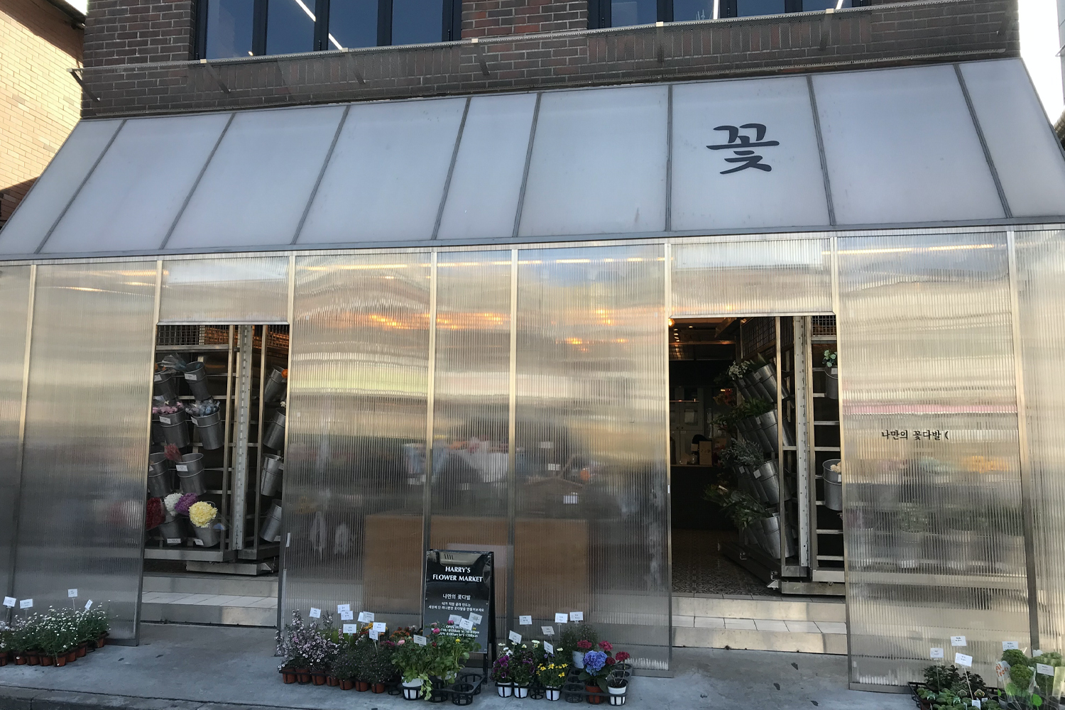 harry flower market Hongdae exterior