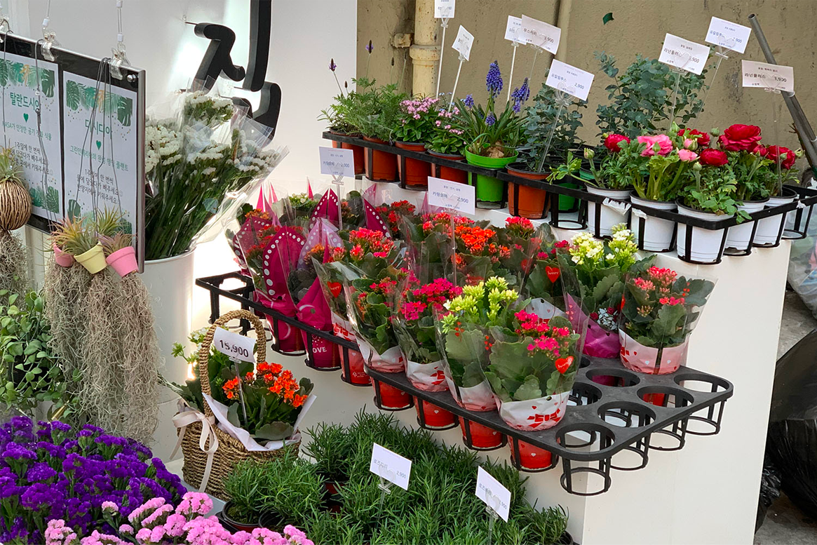 首爾 花店 花束