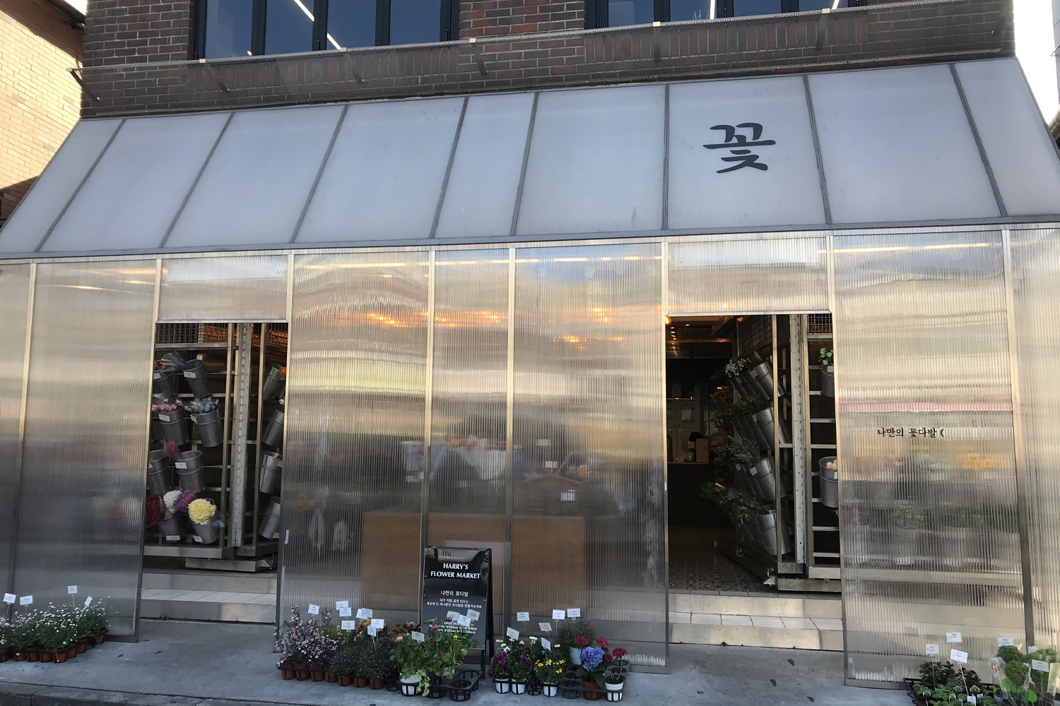 お花屋さん フラワーカフェ ソウル 鐘閣 忠武路 花 カフェ 韓国カフェ 韓国 韓国情報 韓国旅行 旅行 フラワーショップ、花屋さん、梨泰院、イテウォン駅、ノクサピョン駅、フラワー、韓国お花屋さん、プレゼント、韓国旅行、卒業式、インテリア、シンチョン、新村駅、ホンデ、ホンデ入口駅