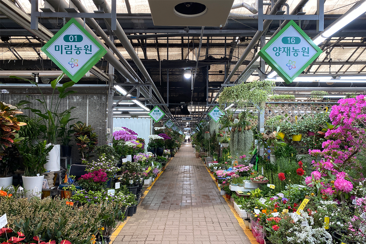 首爾 花店 花束