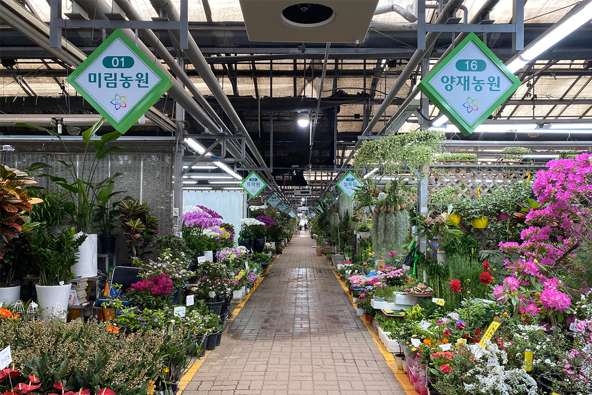 首爾 花店 花束