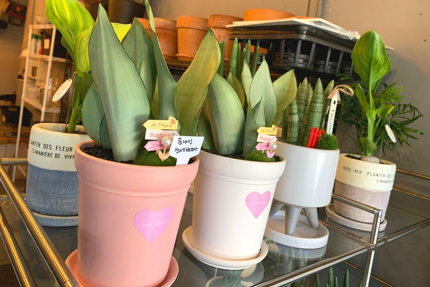 花屋さん、梨泰院、イテウォン駅、ノクサピョン駅、フラワー、韓国お花屋さん、プレゼント、韓国旅行、卒業式、インテリア