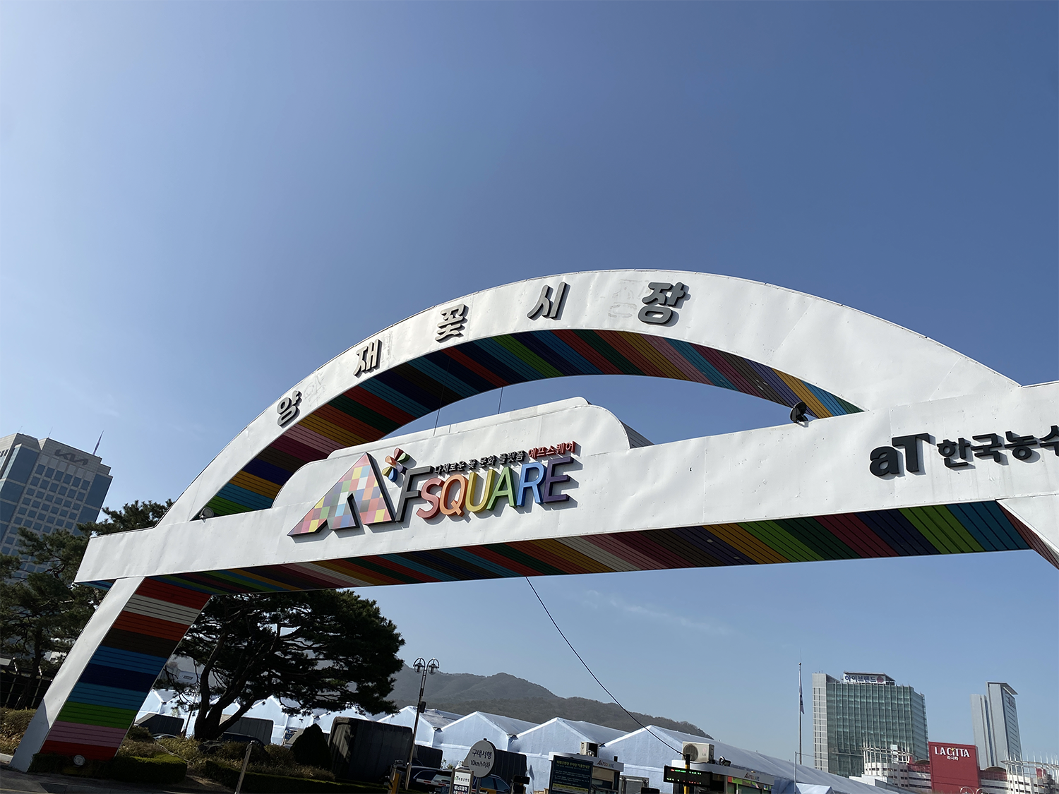 yangjae flower market