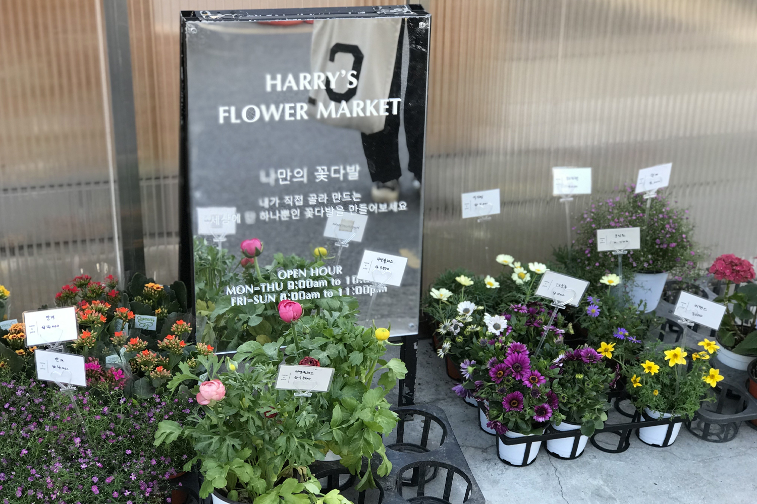 お花屋さん フラワーカフェ ソウル 鐘閣 忠武路 花 カフェ 韓国カフェ 韓国 韓国情報 韓国旅行 旅行 フラワーショップ、花屋さん、梨泰院、イテウォン駅、ノクサピョン駅、フラワー、韓国お花屋さん、プレゼント、韓国旅行、卒業式、インテリア、シンチョン、新村駅、ホンデ、ホンデ入口駅