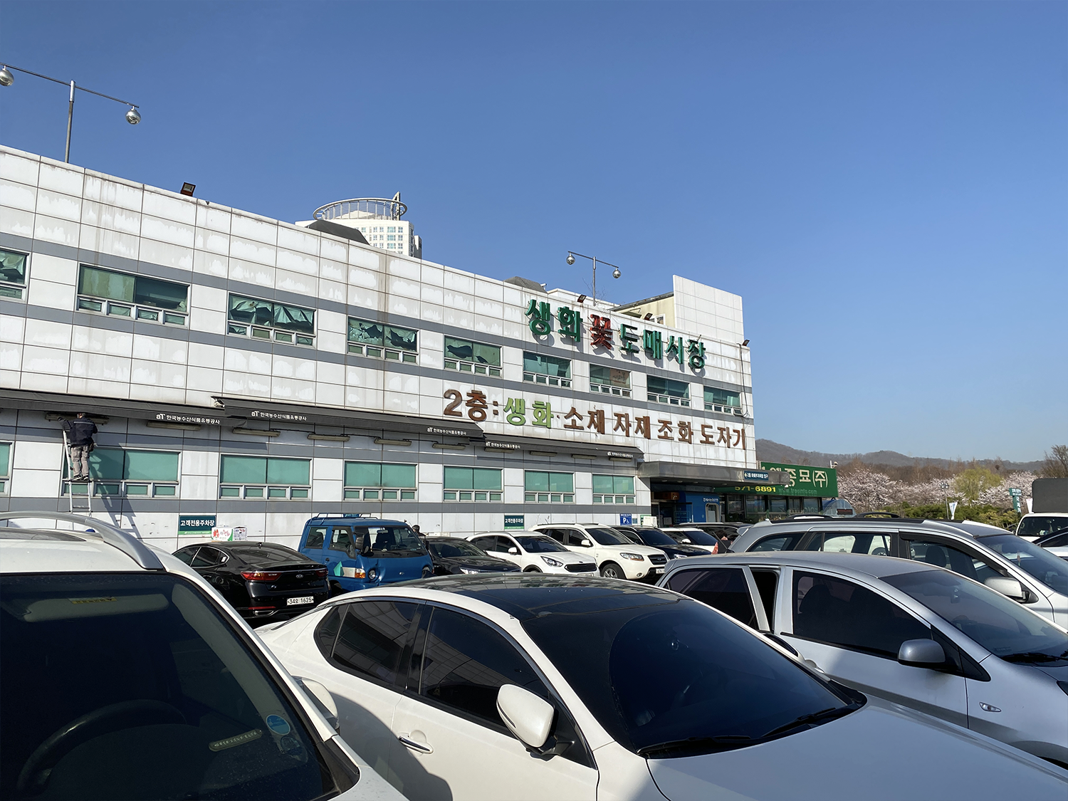 yangjae flower market building