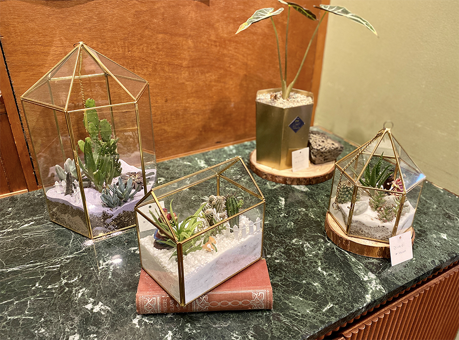 CACHI咖啡廳的植物展示，裝在精緻透明玻璃容器中，增加可購買的興趣