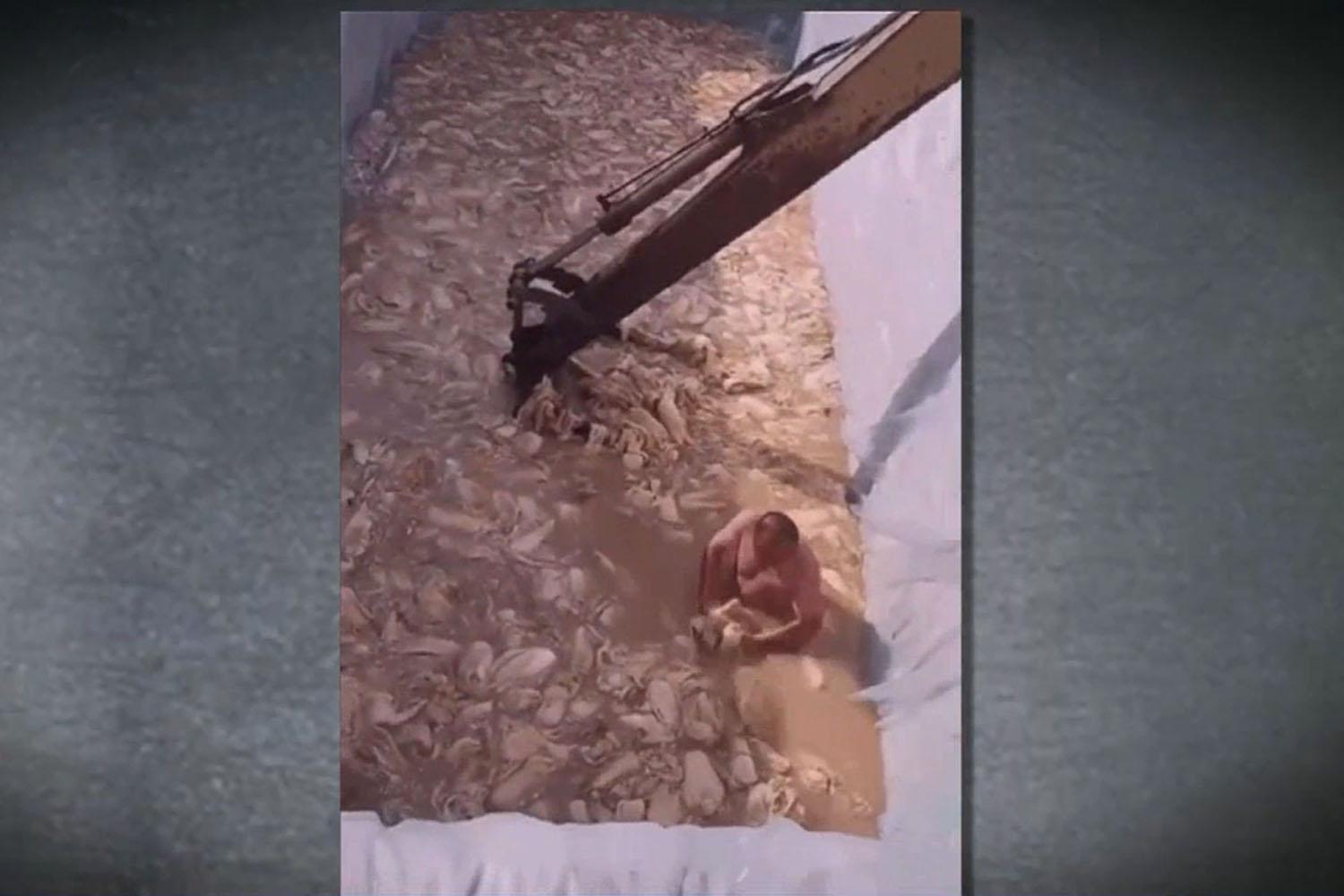 คลิปการผลิตกิมจิจากจีน สร้างเรื่องปวดหัวให้กับเจ้าของร้านอาหารในเกาหลี