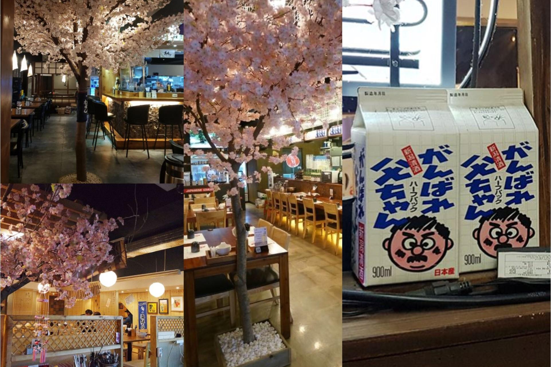 韓国人が日本に好感をもつ部分、韓国人が見た日本、韓国人の反応、韓国の反応、日本文化、日本の良いとろ、日韓、韓国、韓国人、韓国の好きな所、日本の好きな所、韓国居酒屋、韓国接客、韓国コンビニ、韓国旅行、韓国ゴミ、韓国の道、韓国文化、韓国タクシー運転手、韓国タクシー、韓国バス、韓国情、韓国親切、韓国丁寧、パリパリ、韓国パリパリ、韓国カフェ、クリエイトリップ、韓国せっかち、韓国人、日本人、韓国パン、頑張れ父ちゃん、がんばれ父ちゃん