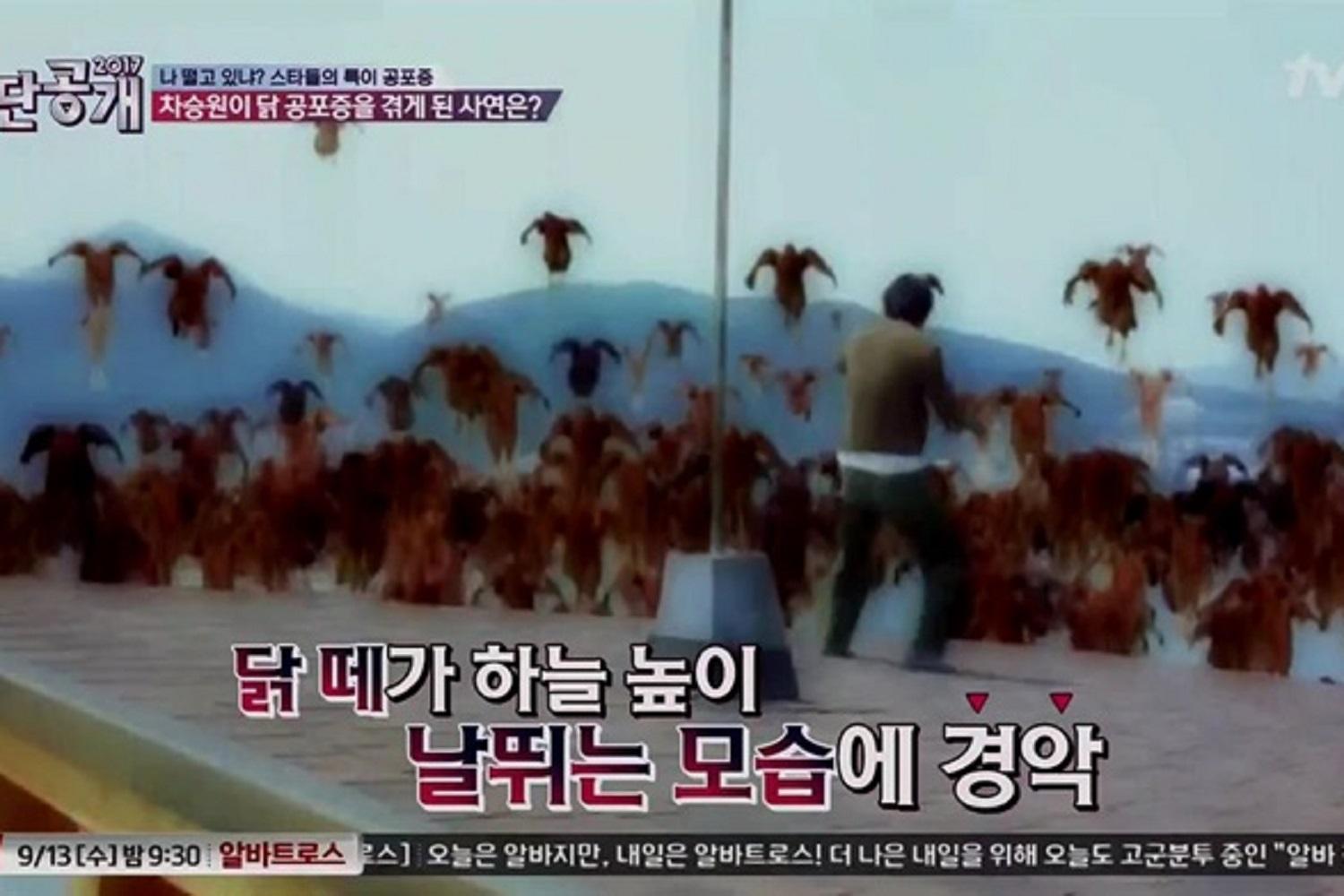 韓国芸能、韓国芸能人、韓国芸能人恐怖症、韓国恐怖症、意外な恐怖症