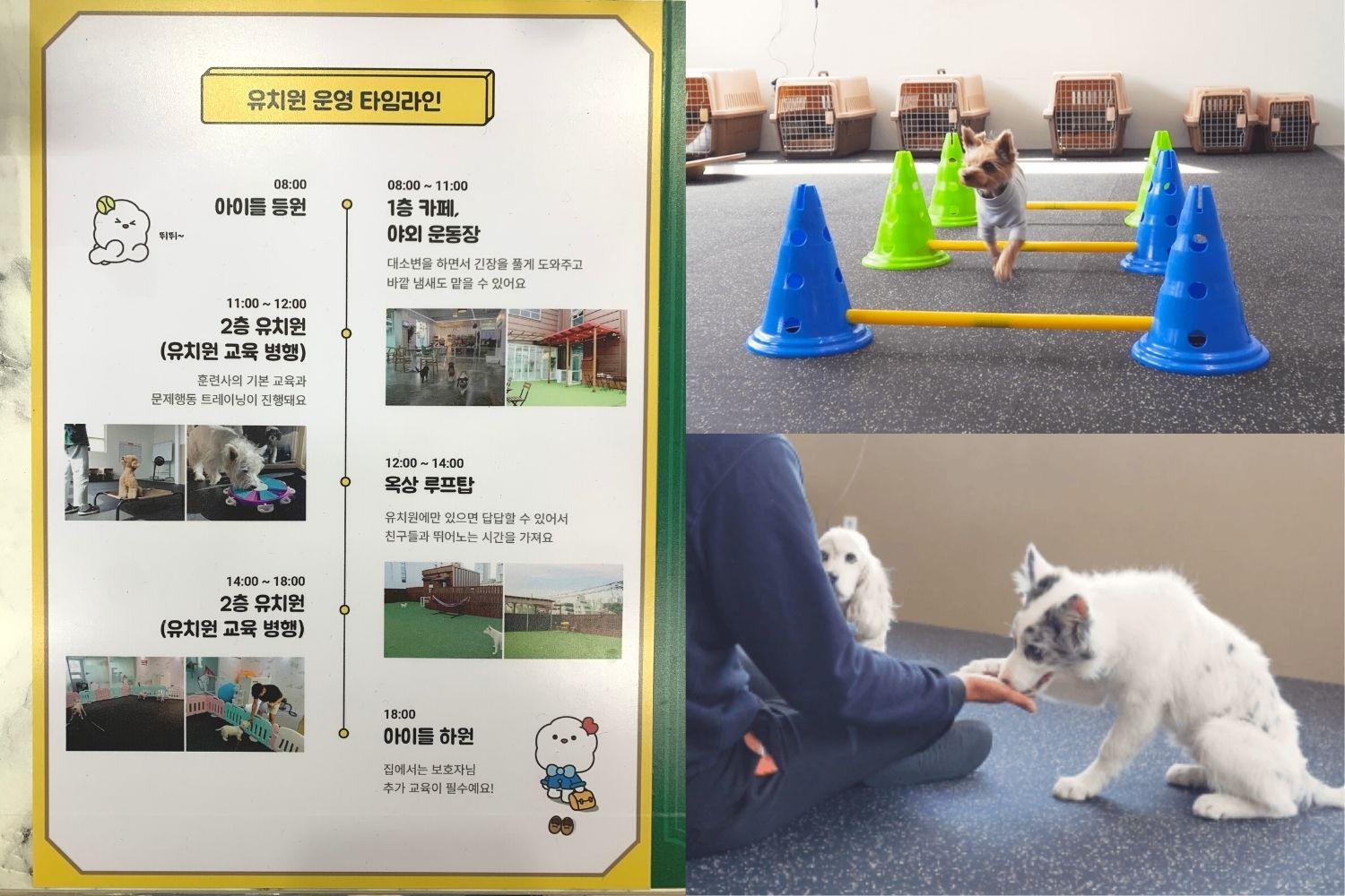 Gian bày bán đồ ăn cho thú cưng tại Corisalrang, nơi bạn có thể mua thức ăn và đồ chơi chất lượng cho cún cưng của mình.