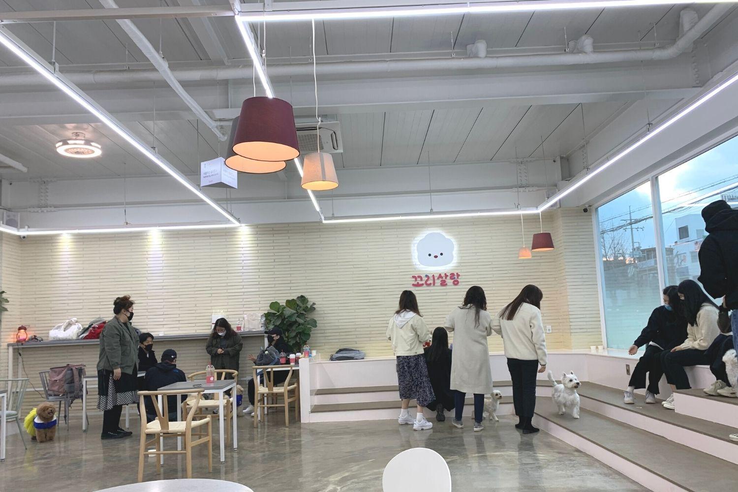 không gian bên trong cà phê chó Corisalrang hàn quốc