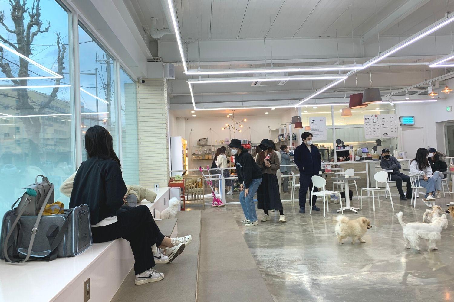 bên trong Corisalrang