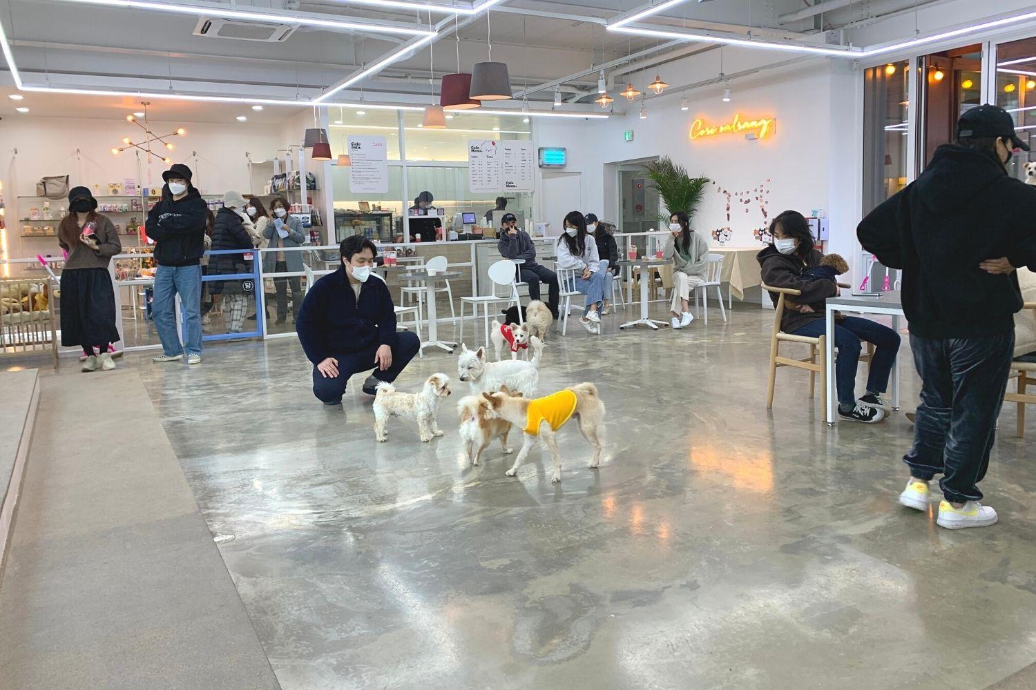 bên trong Corisalrang